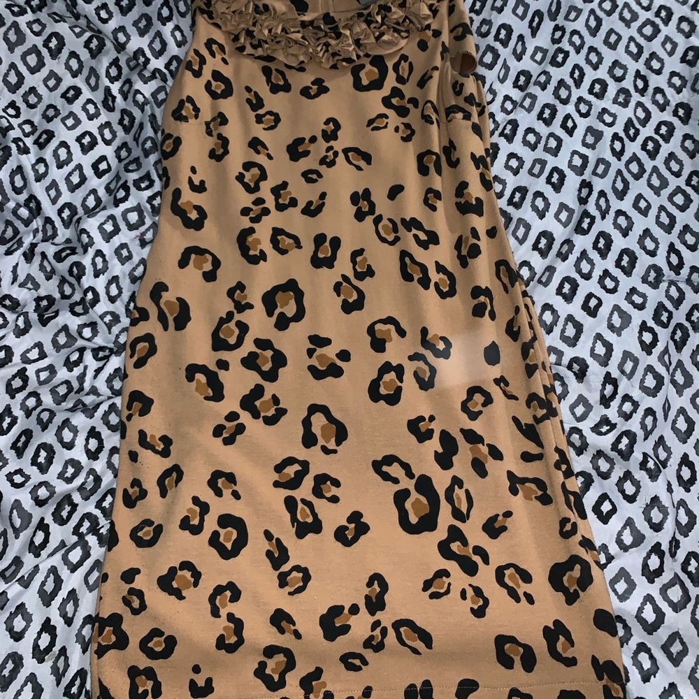 Taylor Brand Interview Dress